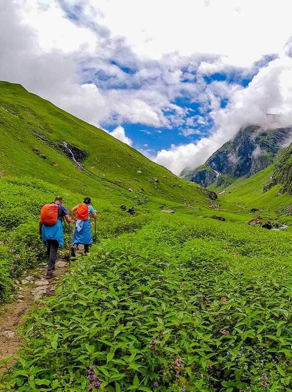 HIMACHAL BAGPACKING